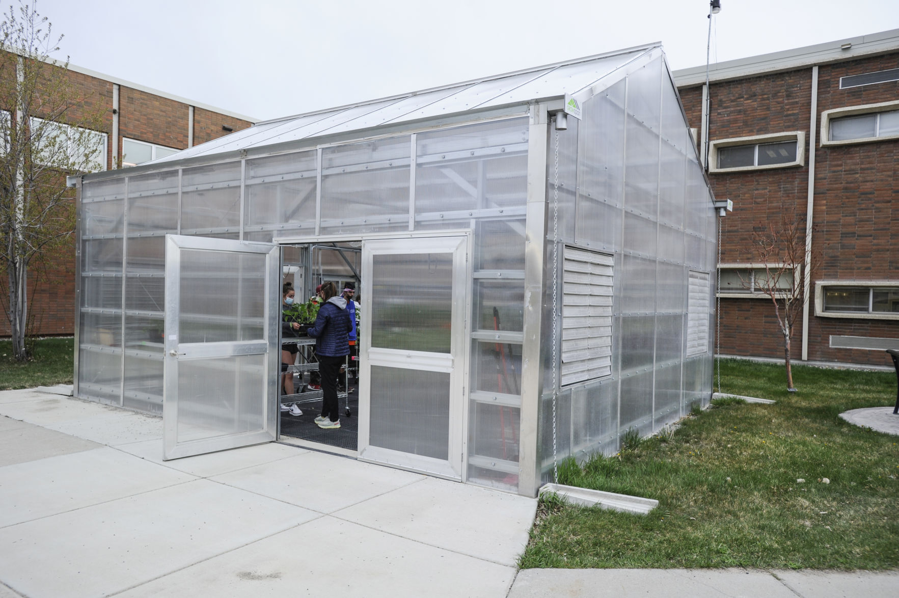 CHS green houe
